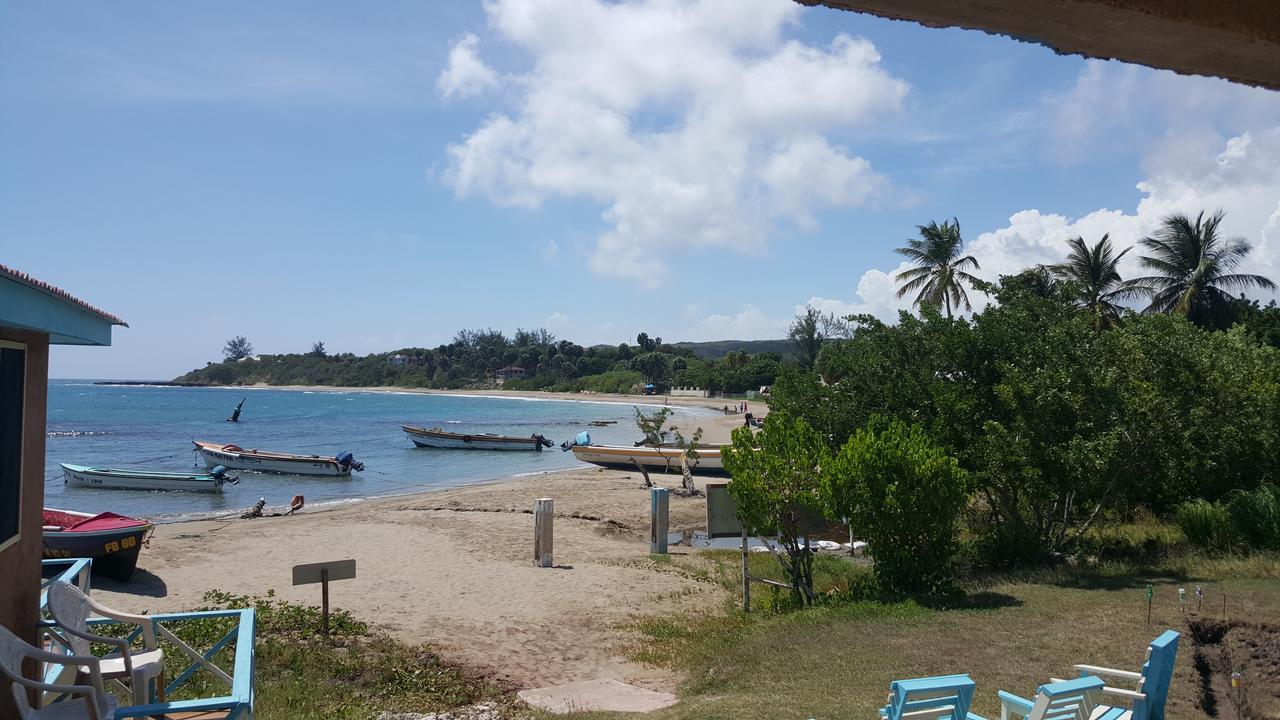 Waikiki Guest House Treasure Beach Εξωτερικό φωτογραφία