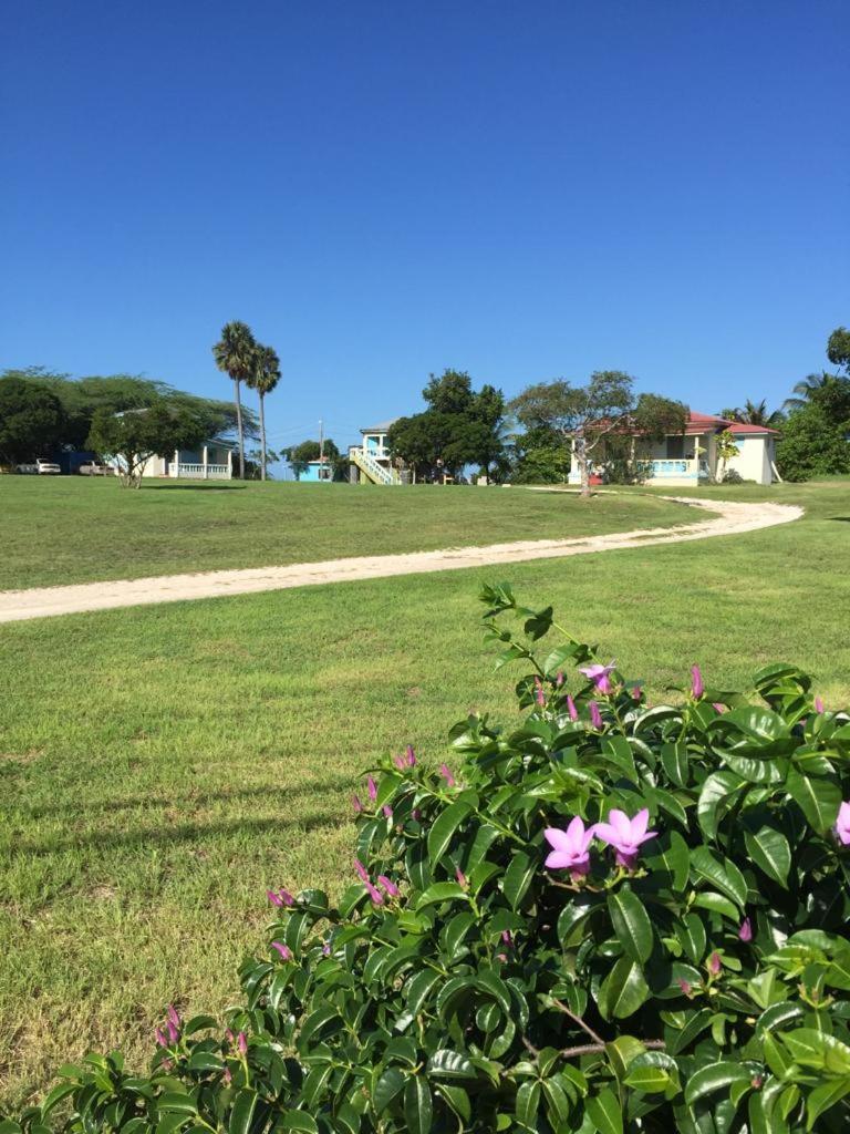 Waikiki Guest House Treasure Beach Εξωτερικό φωτογραφία